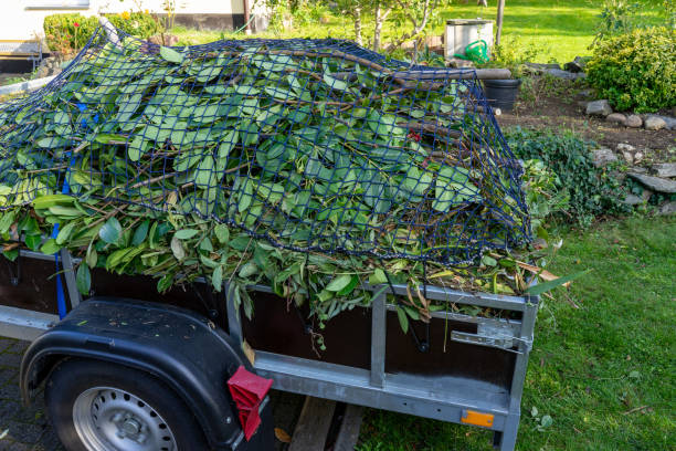 Best Recycling Services for Junk  in Almont, MI